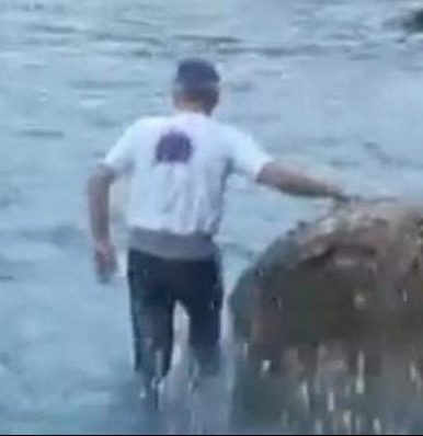 ΠΑΡΑΛΙΑ ΜΑΤΙ: Ο Κώστας Τουρναβίτης βούτηξε στη θάλασσα για να βρει κάποιο ίχνος του αδερφού του και της Χρύσας Σπηλιώτη (VIDEO)