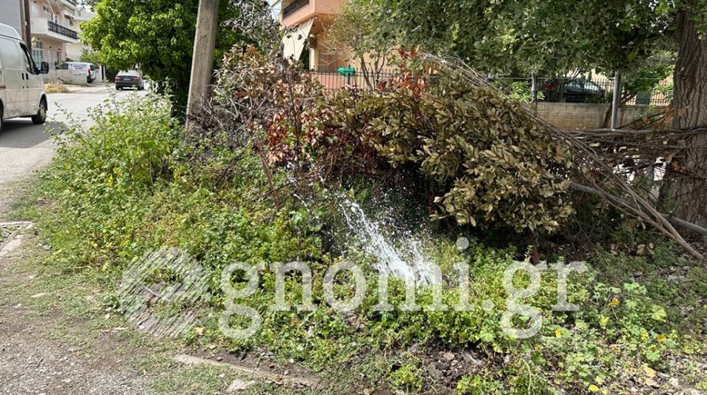 ΛΙΑΝΗ ΑΜΜΟΣ ΧΑΛΚΙΔΑ: Τζάμπα τρέχει το νερό (VIDEO)