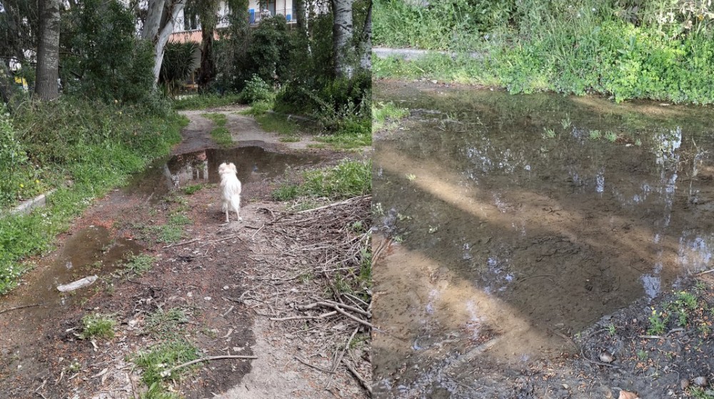 ΧΑΛΚΙΔΑ - ΚΑΤΑΓΓΕΛΙΑ: Διαρροή νερού και εγκατάλειψη στο γήπεδο Μουστάκα–Τζιώτη