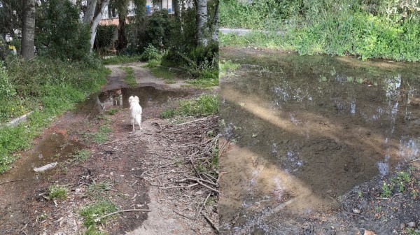 ΧΑΛΚΙΔΑ - ΚΑΤΑΓΓΕΛΙΑ: Διαρροή νερού και εγκατάλειψη στο γήπεδο Μουστάκα–Τζιώτη