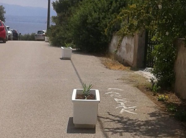 ΚΑΤΑΓΓΕΛΙΑ: Ζαρντινιέρες ...φύτρωσαν ξαφνικά στο δρόμο έξω από σπίτι στην περιοχή Καϊμέτι Βασιλικού