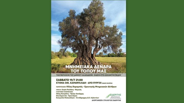 ΜΥΤΙΚΑΣ ΧΑΛΚΙΔΑΣ: Εκδήλωση για τα μνημειακά δένδρα του Ληλάντιου Πεδίου