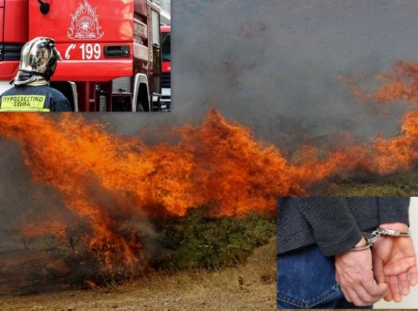ΡΙΤΣΩΝΑ ΧΑΛΚΙΔΑΣ: Συνελήφθη ένας άντρας για πρόκληση εμπρησμού σε αγροτοδασική έκταση