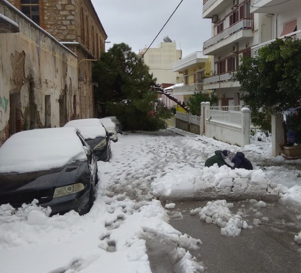 ΧΑΛΚΙΔΑ: Κλειστή η οδός Ωρίωνος από πτώση δέντρου