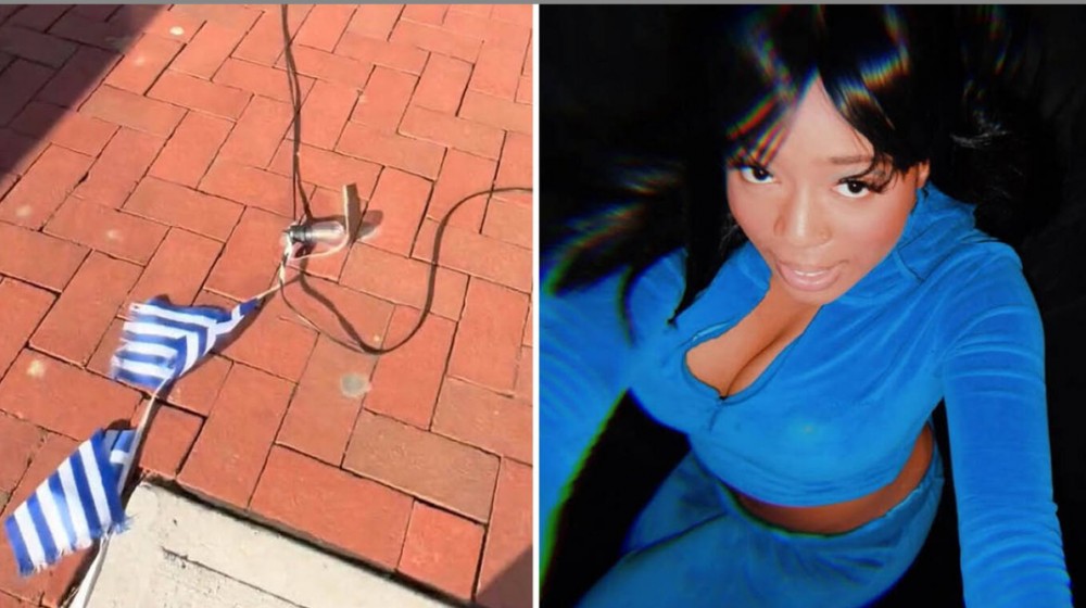 ΗΠΑ: Γυναίκα έσκιζε ελληνικές σημαίες γιατί νόμιζε ότι είναι του Ισραήλ