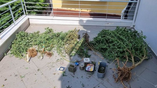 ΧΑΛΚΙΔΑ: Λιμενικοί σταμάτησαν για έλεγχο 20χρονο στην Κάνηθο και αυτός διέφυγε με επεισοδιακό τρόπο