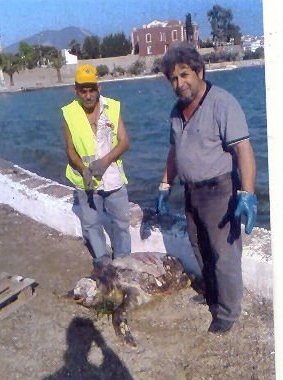 Νεκρή θαλάσσια χελώνα στη Σουβάλα