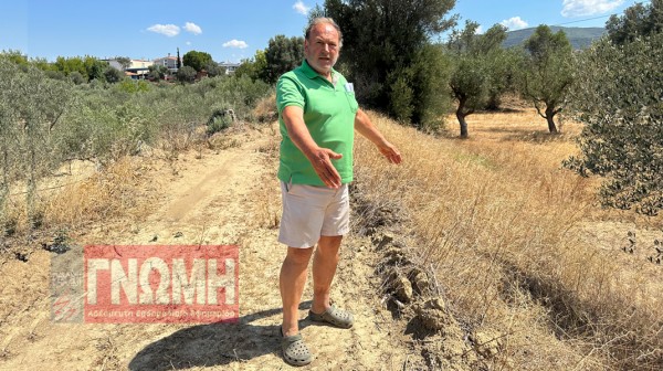 ΦΥΛΛΑ: Κάτοικος του χωριού μπάζωσε αμπολή για να βάλει φωτοβολταϊκά