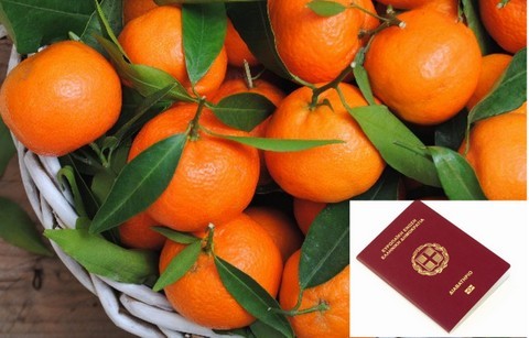 Μόνο με ...διαβατήριο η διακίνηση φυτών και καρπών εσπεριδοειδών
