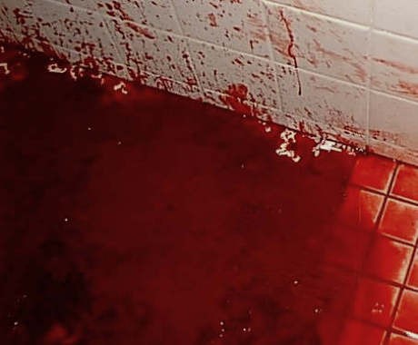 Άγριο έγκλημα στην Ιστιαία