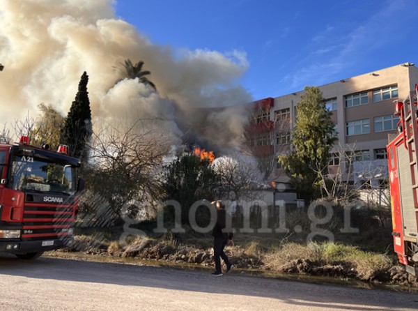 Φωτιά σε χαμόσπιτο πίσω από το Διοικητήριο Χαλκίδας (Video)
