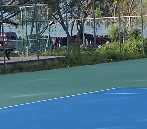 ΧΑΛΚΙΔΑ: Έγινε πάλι γύφτικο τσαντίρι η περιοχή των γηπέδων τένις