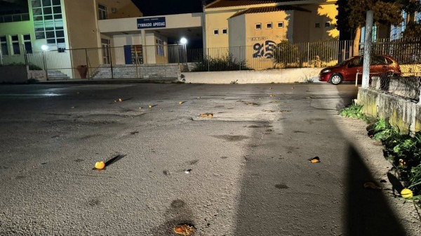 ΔΡΟΣΙΑ ΧΑΛΚΙΔΑΣ: Ανήλικοι πετούν πορτοκάλια και λεμόνια σε σπίτια, αυτοκίνητα και στο Γυμνάσιο