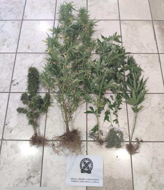 Καλλιεργούσε χασίς σε γλάστρες μέσα στο σπίτι του 36χρονος