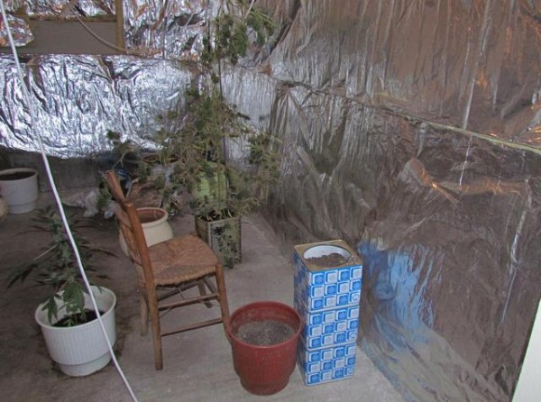 Καλλιεργούσε χασίς στο υπόγειο του σπιτιού του 72χρονος