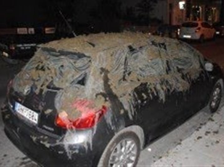 Γέμισαν το βουλευτικό αυτοκίνητο με περιττώματα