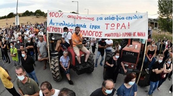 ΒΟΡΕΙΑ ΕΥΒΟΙΑ: Έμειναν χωρίς αποζημίωση πολλοί αγρότες γιατί δεν κατάφεραν να πιάσουν το πλαφόν της παραγωγής