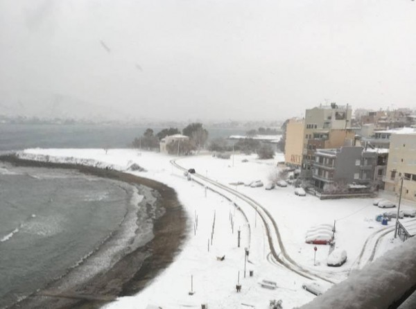 ΧΙΟΝΙΑ ΧΑΛΚΙΔΑ: Πήγαν στην Πλάζ Παπαθανασίου για ...χιονοπόλεμο!