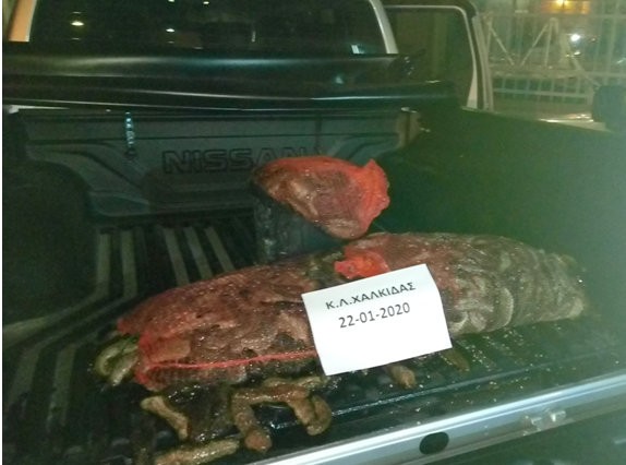 ΧΑΛΚΙΔΑ: Δύο ερασιτέχνες Χαλκιδέοι δύτες ψάρευαν παράνομα αγγούρια της θάλασσας