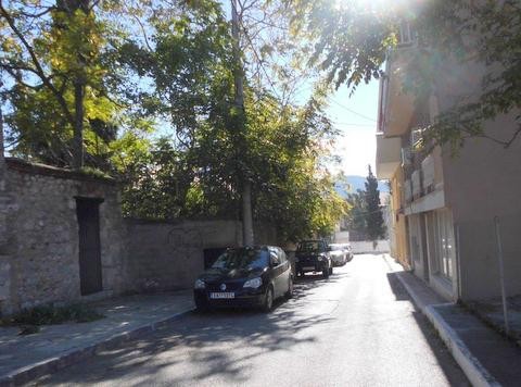 Χρειάζονται επειγόντως κλάδεμα τα δένδρα στην οδό Σκαλκώτα