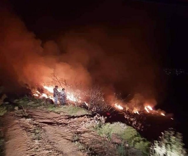 Ωρολόγι Κύμης: Φωτιά έκαψε 15 στρέμματα γης