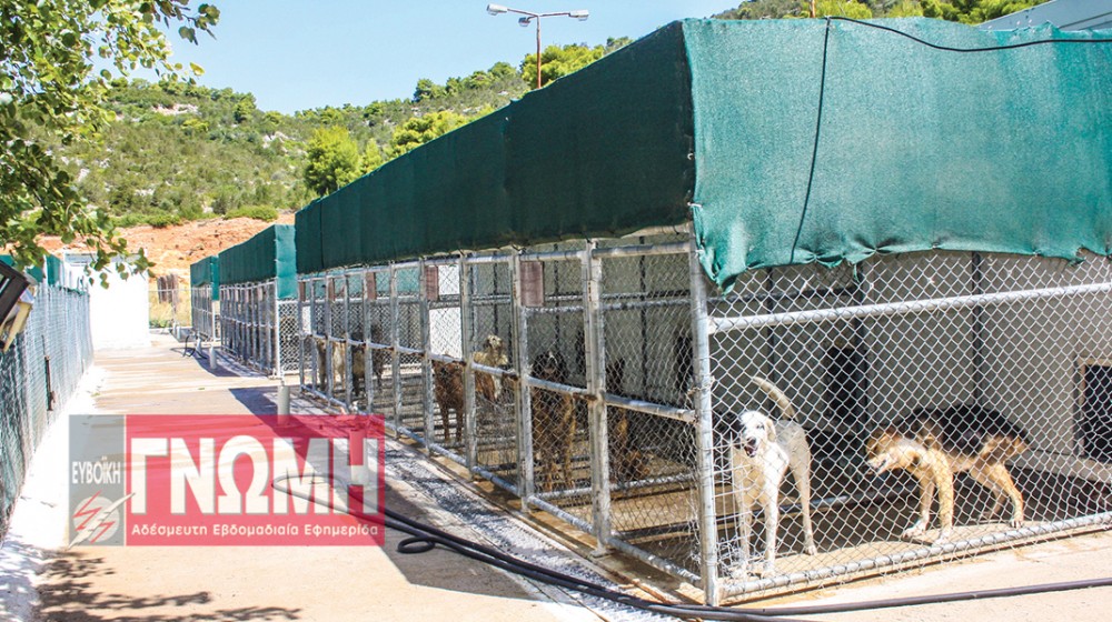 ΚΥΝΟΚΟΜΕΙΟ ΧΑΛΚΙΔΑΣ: Νέα παράταση για τη μονάδα