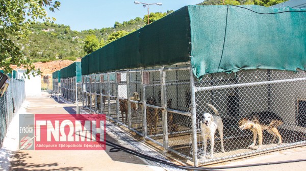 ΚΥΝΟΚΟΜΕΙΟ ΧΑΛΚΙΔΑΣ: Νέα παράταση για τη μονάδα