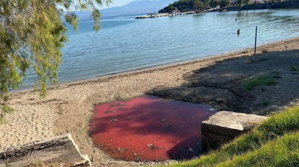 ΧΑΛΚΙΔΑ: Ανησυχία στο Κουρέντι μετά την εμφάνιση κόκκινων υγρών στην παραλία