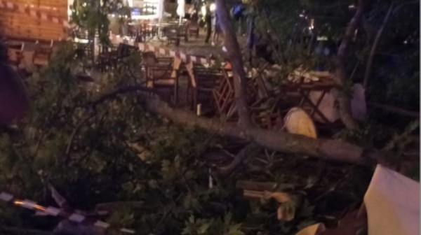 Νεκρή 44χρονη - Επεσε πάνω της πλάτανος και τη σκότωσε!