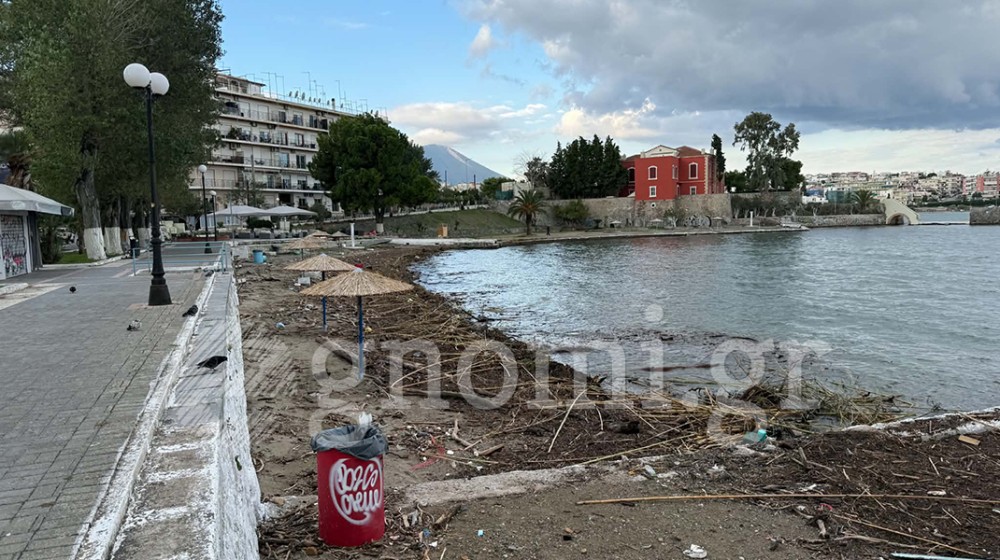 ΧΑΛΚΙΔΑ: Οι παραλίες παραμένουν μέσα στη βρόμα (ΦΩΤΟ)