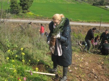 Ολοκληρώθηκε το πρόγραμμα δενδροφύτευσης στο Δήμο Χαλκιδέων