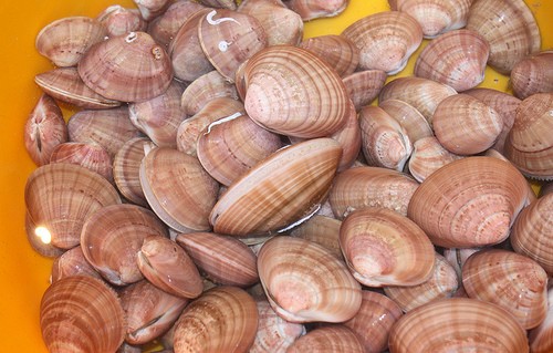 ΕΡΕΤΡΙΑ: Κατασχέθηκαν δεκαπέντε κιλά όστρακα