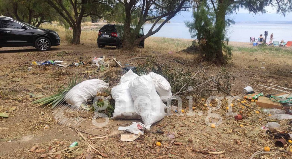 ΜΠΟΥΡΝΩΝΤΑΣ ΔΡΟΣΙΑ ΕΥΒΟΙΑ: Απέραντος σκουπιδότοπος η παραλία - Φρικτά παράπονα από τους γονείς (pics)