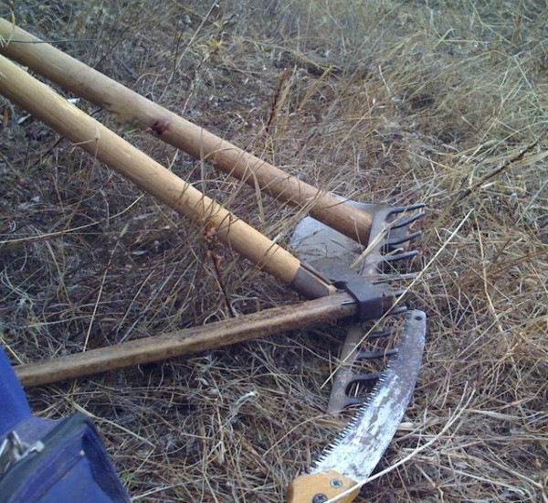 ΜΕΤΟΧΙ ΚΥΜΗΣ: Τσακώθηκαν για δέκα κιλά τσάι και έβγαλαν μαχαίρι και κασμά!