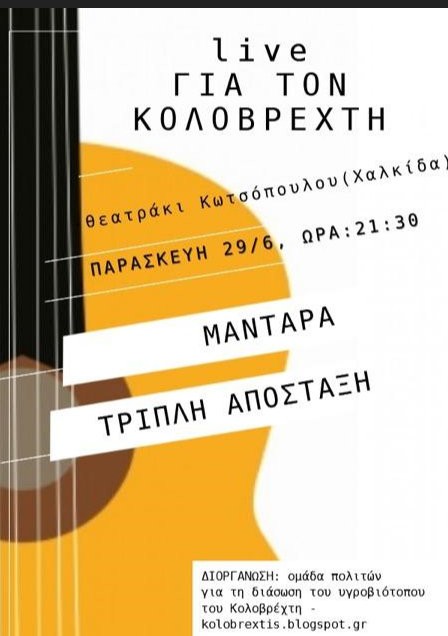 ΧΑΛΚΙΔΑ: Μουσικό live για τον υγροβιότοπο του Κολοβρέχτη6)