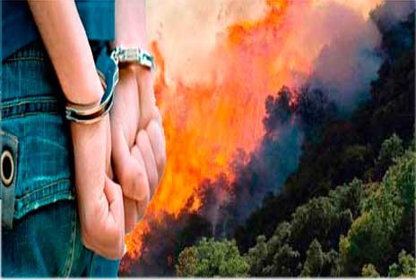 ΕΥΒΟΙΑ: Συνελήφθησαν 4 άτομα για τρεις πυρκαγιές