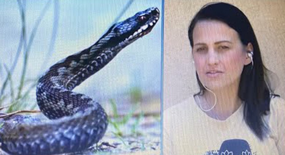 Συγκλονιστικό βίντεο με την υπερπροσπάθεια του ΕΚΑΒ να διασωληνώσει την ερπετολόγο που δαγκώθηκε από οχιά