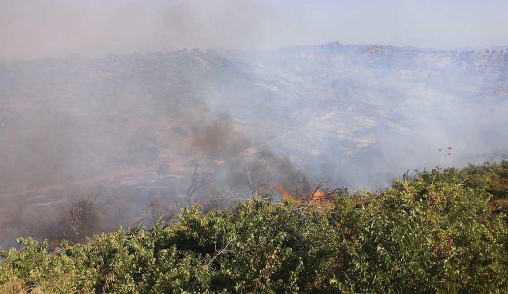 Έσβησε η φωτιά στο Κοντοδεσπότι