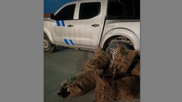 ΔΑΦΝΗ ΕΥΒΟΙΑΣ: Ερασιτεχνικό σκάφος είχε ψαρέψει παράνομα 4000 αχινούς