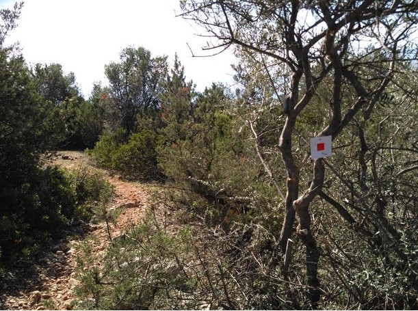 Ξεκίνησε η διάνοιξη του μονοπατιού που θα ενώσει Βολέρι και Κολοβρέχτη