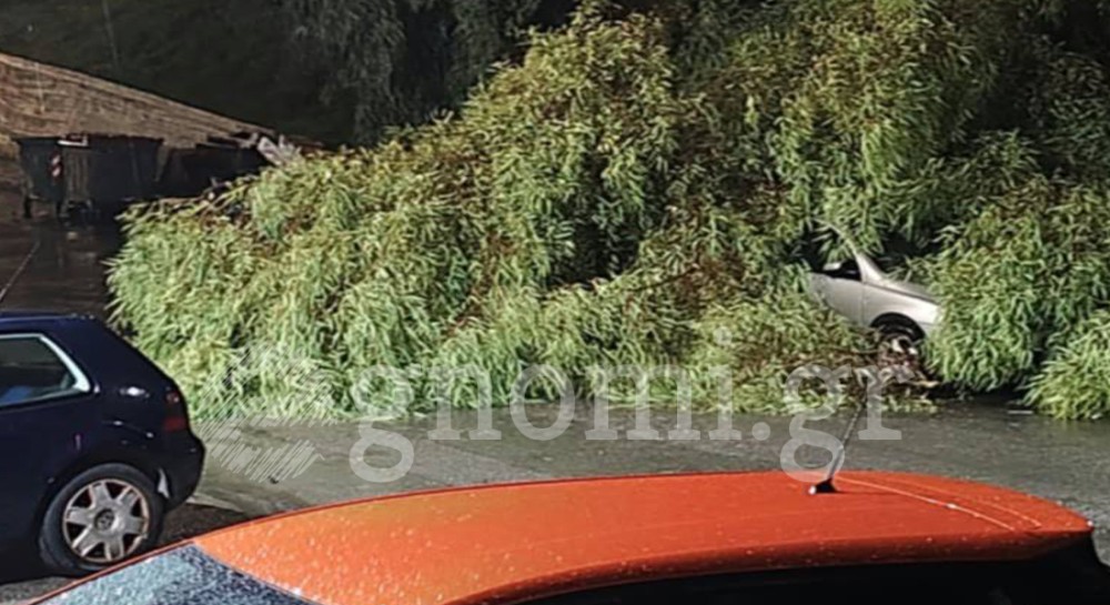 ΧΑΛΚΙΔΑ ΚΑΚΟΚΑΙΡΙΑ: Δέντρο καταπλάκωσε αυτοκίνητο στο Αλωνάκι