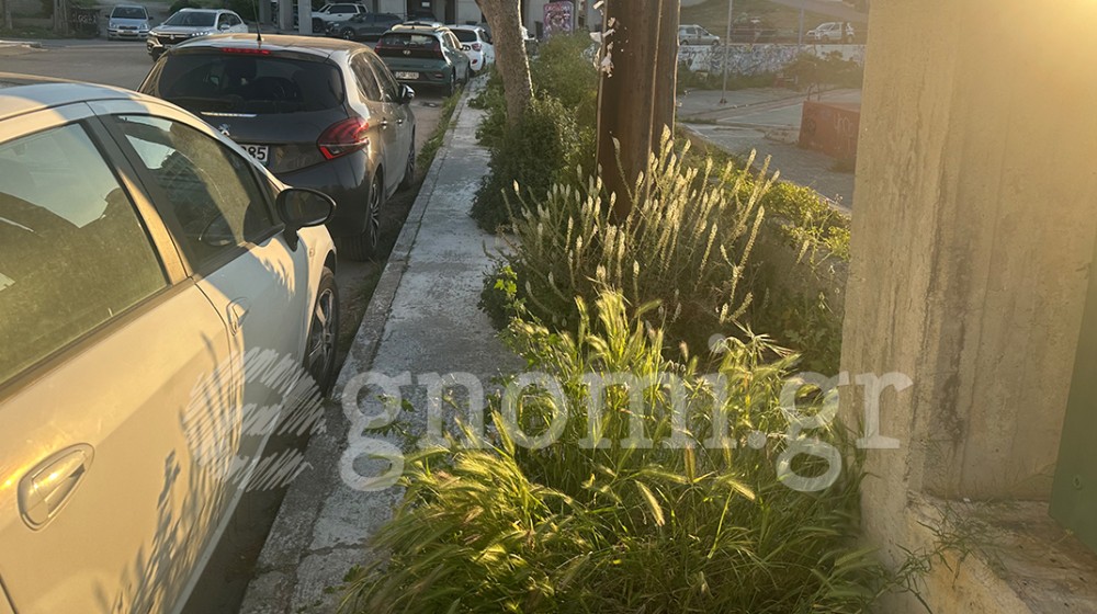 ΠΛΑΖ ΡΟΔΙΕΣ ΧΑΛΚΙΔΑ: Γέμισε χορτάρια το πεζοδρόμιο