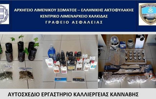 ΧΑΛΚΙΔΑ: Έλληνας είχε στήσει εργαστήριο καλλιέργειας χασίς στην ντουλάπα του σπιτιού του (VIDEO + φωτό)