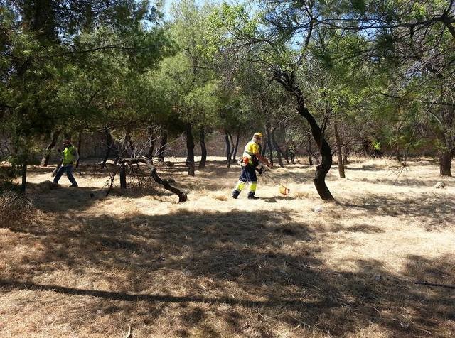 Καθάρισαν το αλσύλλιο του Καράμπαμπα από τα ξερόχορτα