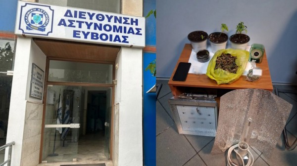 ΧΑΛΚΙΔΑ: Εντοπίστηκε εγκατάσταση υδροπονικής καλλιέργειας κάνναβης - Συνελήφθησαν δύο άτομα