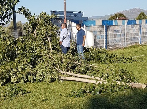 ΜΠΟΥΡΤΖΙ: Έκοψαν τα δένδρα για να μπορούν να παίζουν μπάλα