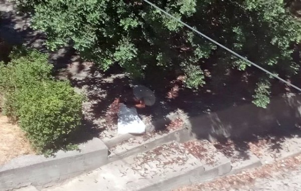 Τσιγγάνοι μαζεύουν χαρούπια από τα πάρκα της Χαλκίδας