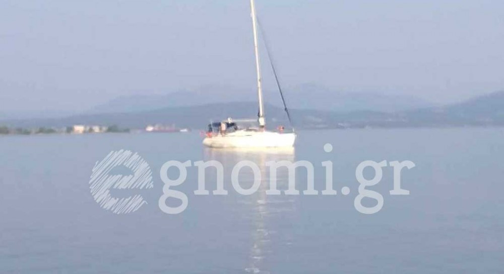 ΠΟΛΙΤΙΚΑ: Κινητοποίηση για το δελφίνι