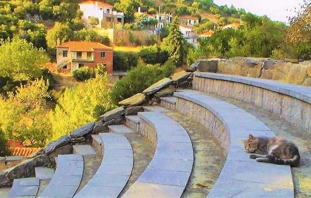 Λυσιστράτη στο Θέατρο Σέτας τον Αύγουστο