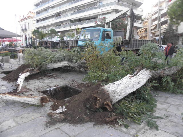 Παραλία Χαλκίδας: Ο ΟΛΝΕ ξερίζωσε τα ...σαπάκια